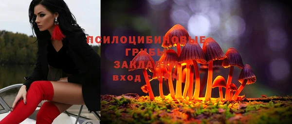 метадон Армянск