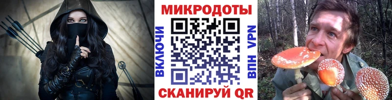 Псилоцибиновые грибы Cubensis  KRAKEN   Кинель 